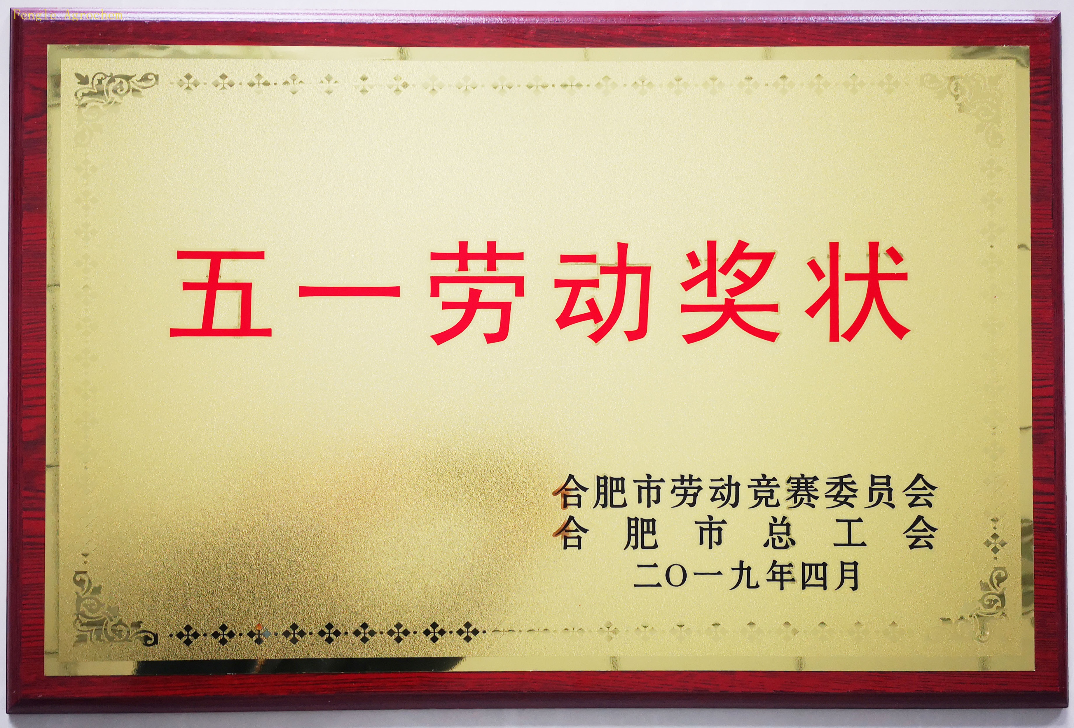 Z6(China)ٷվ